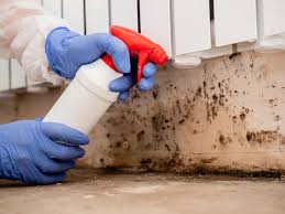 Trusted Ford City, CA Mold Prevention & Removal  Experts